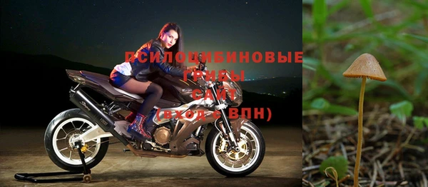 гашик Каменка