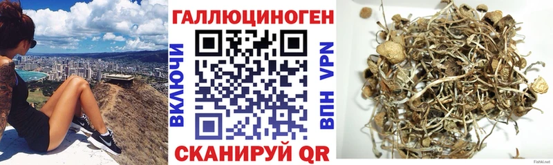 мега маркетплейс  Кизляр  Псилоцибиновые грибы Magic Shrooms 